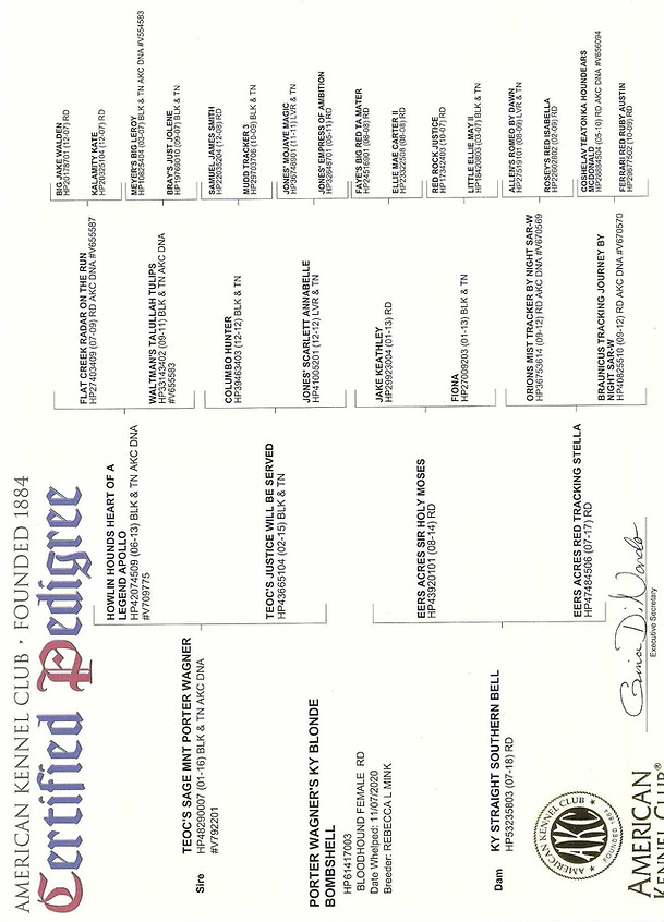 Blondie Pedigree picture.jpg