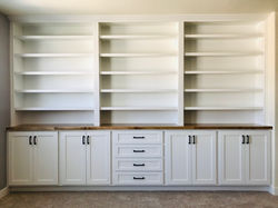 Bookcase Built In