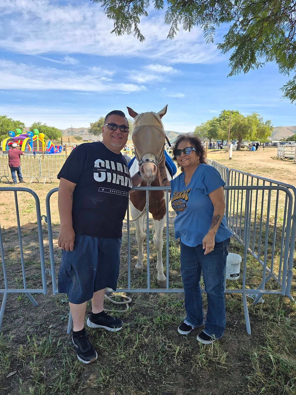 Pony Petting