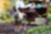 DSC09930-Edit.jpg