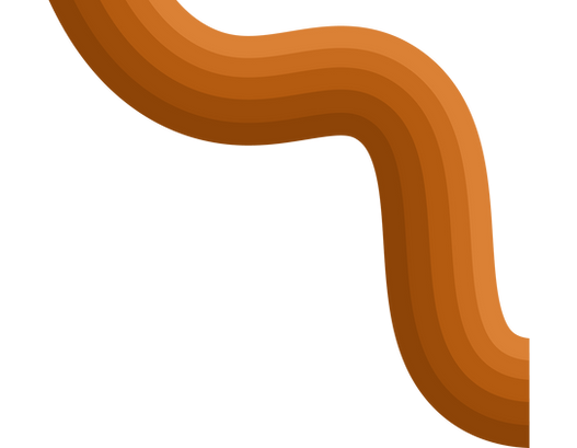 Graphic of orange wavy lines
