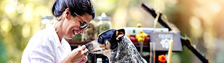 Veterinary Peptide Therapy Education | BPC-157, Thymosin & More | Dr. Sarah Meintel, DVM Veterinary Peptide Therapy Education | BPC-157, Thymosin & More | Dr. Sarah Meintel, DVM