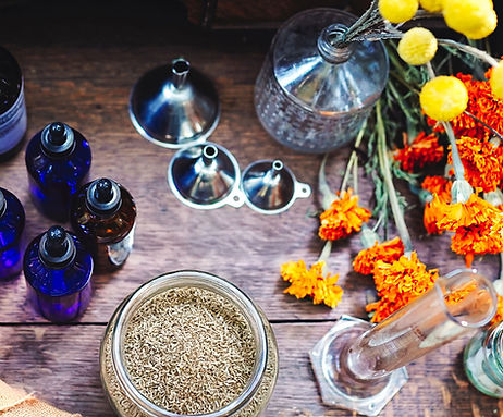 DSC01764_1-Edit (1)_edited.jpg