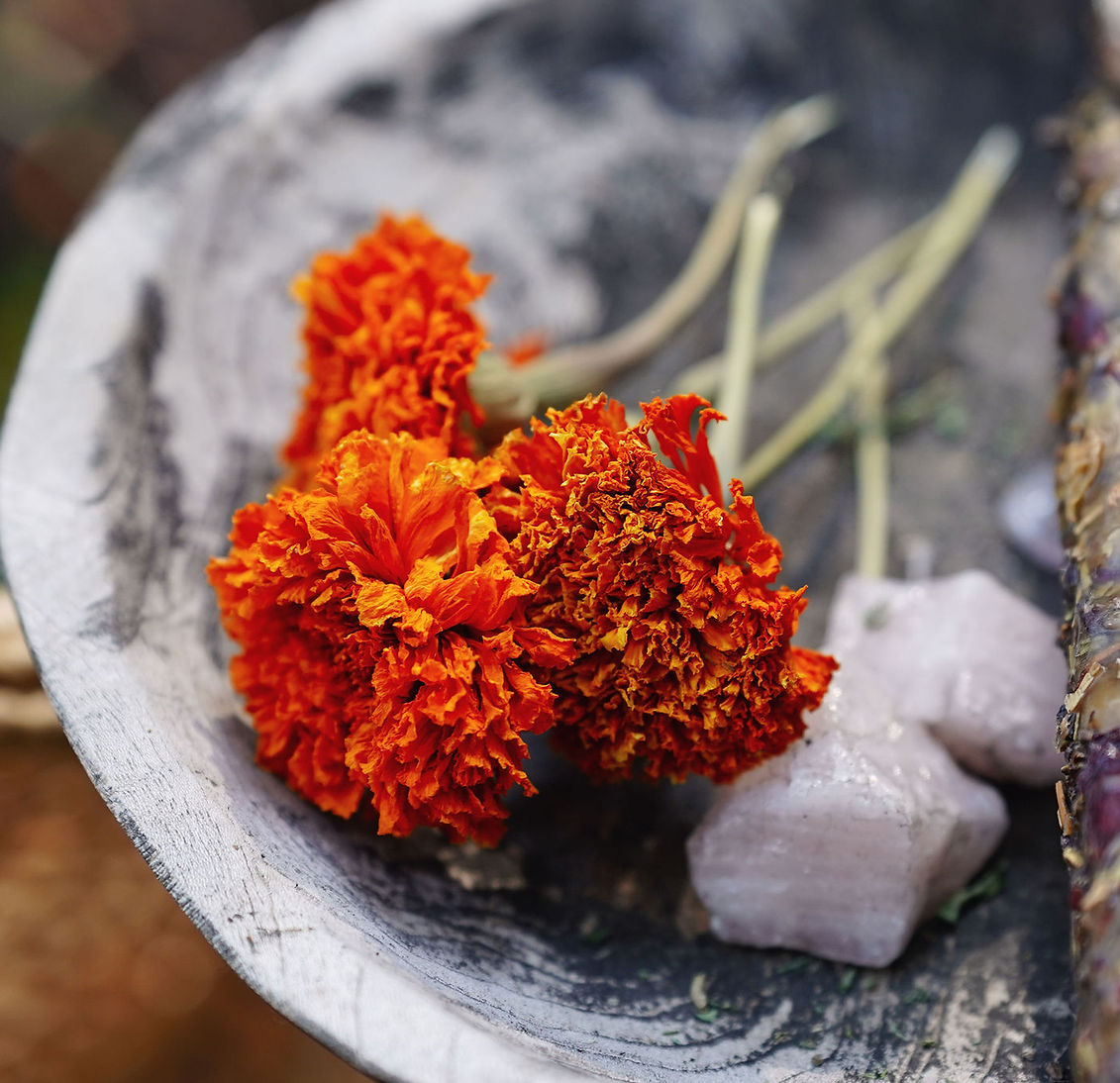 Earth Medicine Vet marigolds