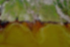 IMG-20250522-WA0052_edited.jpg