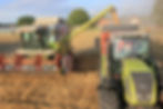 Agriculture