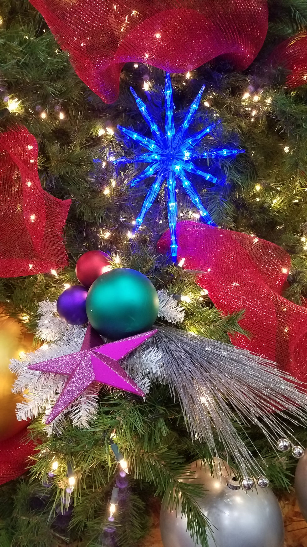 20191127_202418.jpg