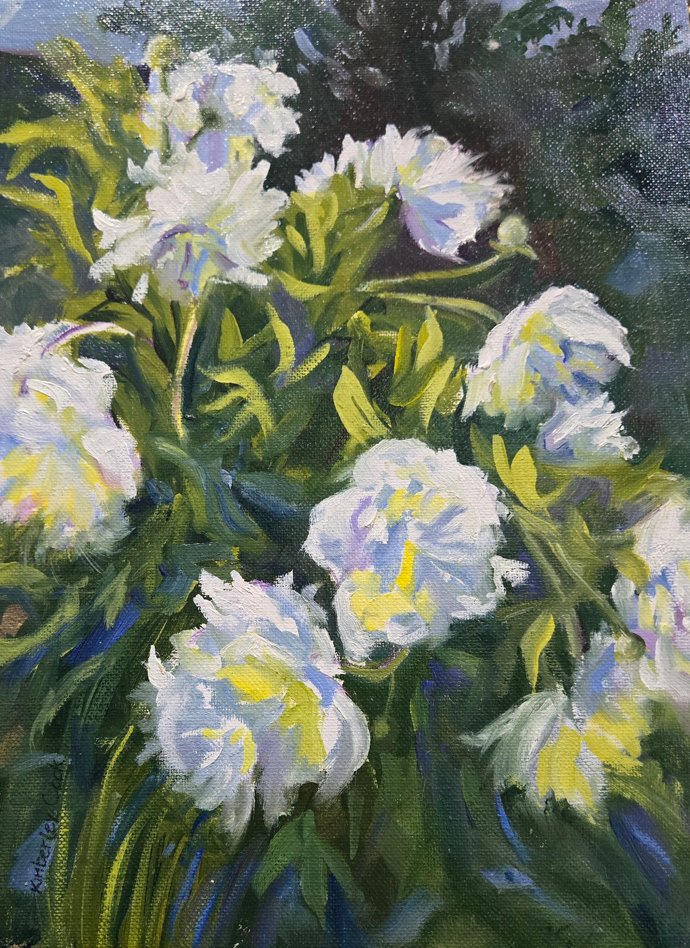 Study of White Peonies-Oil-9x12"