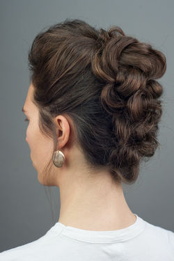 le chignon