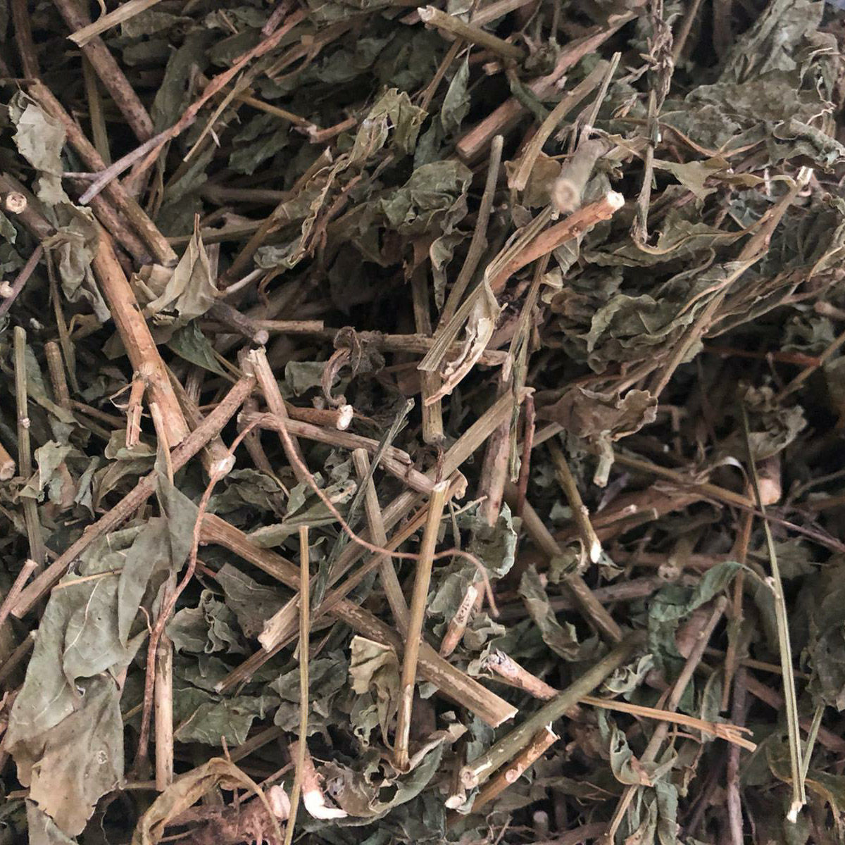 Anamu (Guinea Henweed)
