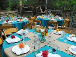 IMG_1749-338x256x0x1x338x254x1600971667