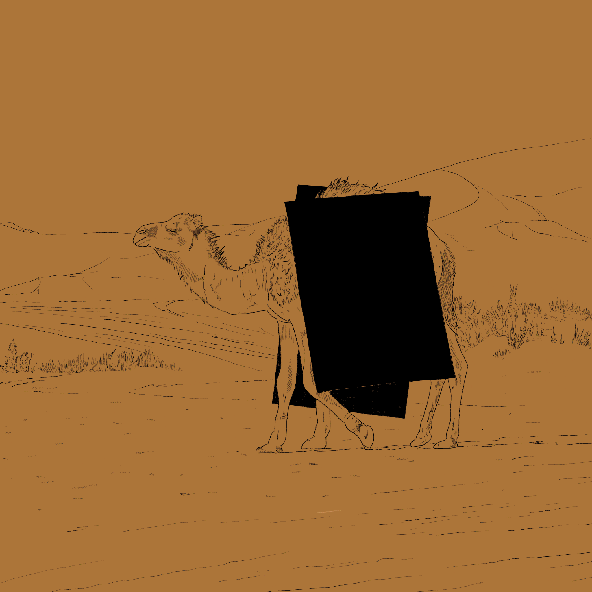 Camel with five legs