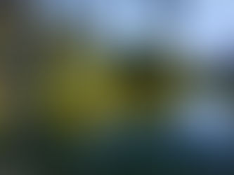 Dorfteichsanierungen in Wutzow, Hohenlobbese und Wendlobbese