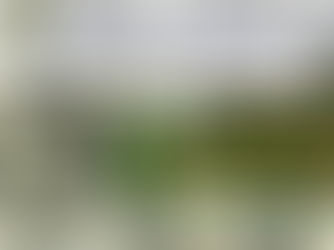 شيخة روحانية مضمونة لتنزيل المال