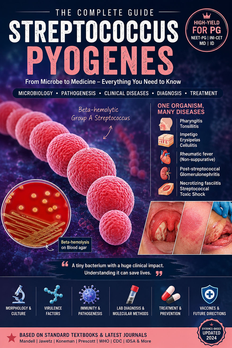 Streptococcus pyogenes: The Master Pathogen of Clinical Microbiology and Medicine