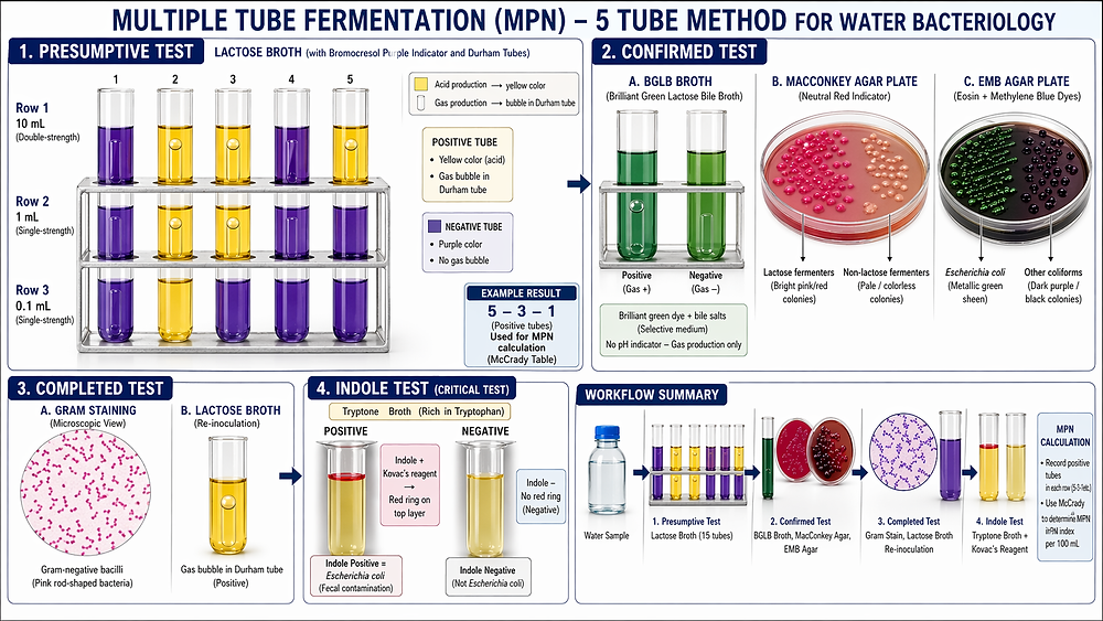 Dat Tube Method Multiple Tube Method (MPN)