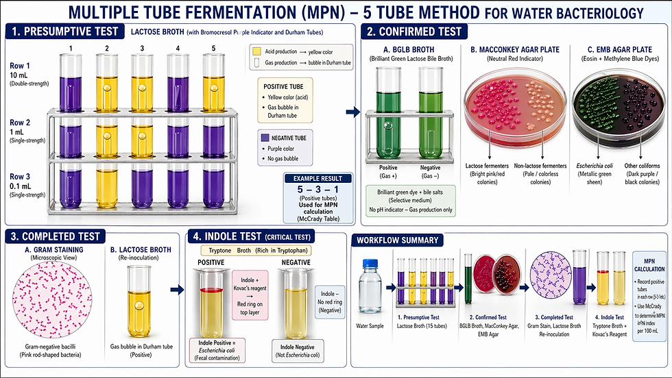 Multiple Tube Method (MPN)