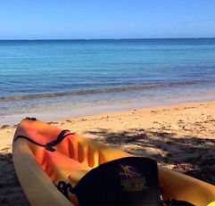 biobay kayak, biobay kayak rental, bio bay kayak, bio bay kayak rental, Kayak, kayak rental, kayak near me, kayak fajardo, kayak rental fajardo, kayak Puerto Rico, kayaking Puerto Rico, kayak seven seas, kayak rental seven seas, kayak rental cabezas de san juan, kayak cabezas de san juan, family friendly activities, night kayak