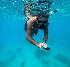 snorkeling gear rental, snorkeling rental, snorkeling gear rental near me, snorkeling near me, snorkeling spots, snorkeling Puerto Rico, snorkeling Fajardo, Snorkeling rental Puerto Rico, snorkeling rental Fajardo, snorkeling seven seas, snorkeling gear seven seas