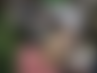 Creative Happenings in Pontelandolfo