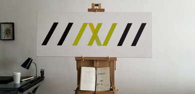 The Rise Of Zebra (Generation XY&Z)