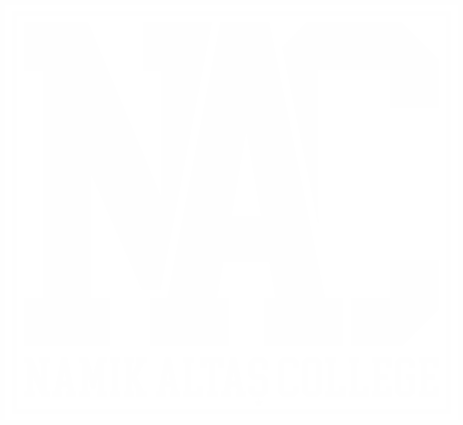 Ozel Namik Altas Koleji logo