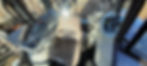 20220222_160526.jpg