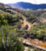 IMG-20220326-WA0024