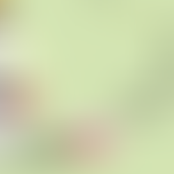 Ilustração digital em estilo flat design para um post de blog com o título "Dica de Leitura: Três títulos para começar e terminar durante o Carnaval". À esquerda, uma mulher de cabelos escuros está sentada de pernas cruzadas no chão, lendo um livro sob a luz de uma luminária pendente. Ao lado dela, há uma pequena pilha de livros coloridos. O fundo é verde claro, decorado com um varal de luzes amarelas no topo, criando um clima aconchegante.