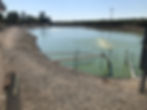 Cheese Process Water Treatment