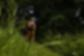 Krista connected by nature retreat may2026, Ailis Dupre-218.jpeg