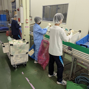 職場体験