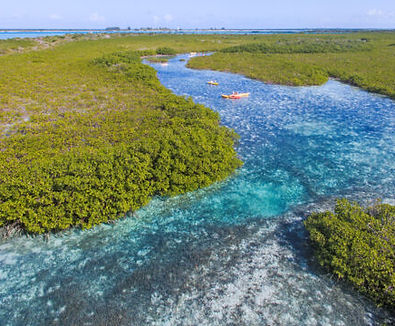 Turks Charters - Mangrove Cay.jpg