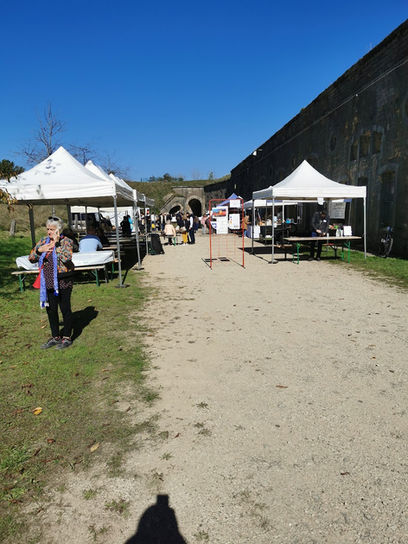 marché automne 10.jpg