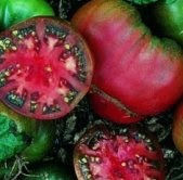 Black Krim tomato