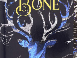 Friday Finds | Netflix Edition