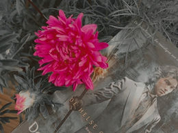 Top Ten Tuesday | Ten Quotes from The Infernal Devices Series