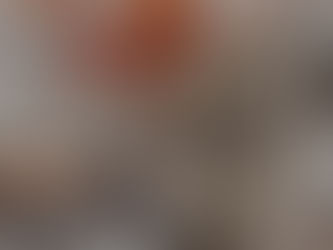 Book review | Fourth Wing by Rebecca Yarros