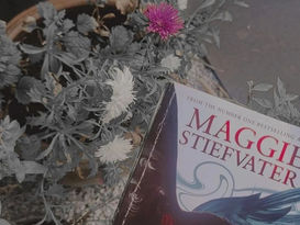 Book review| The Raven Boys by Maggie Stiefvater