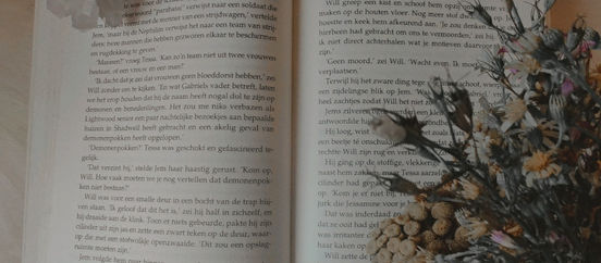 Book Review | The Infernal Devices: Clockwork Angel by Cassandra Clare