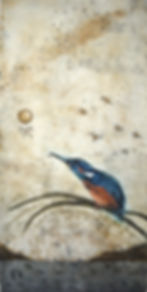 Little Kingfisher  2012