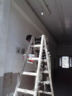 IMG_48107438941599.jpeg