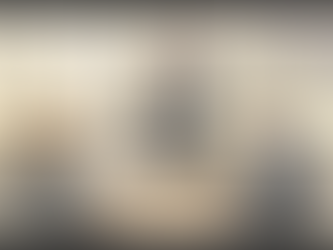 Fagekspert sætter fokus på nøjagtigheden i oversættelser