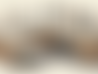 Projektlederen gennemgår dokumenterne for arbejdsgangen i oversættelsesprocessen.