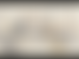 Affärsteamet går igenom dokument om språkteknologi.