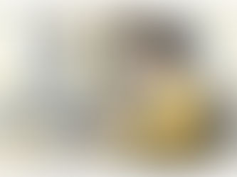 Een vrouw zit achter haar bureau en gebruikt vertaalsoftware op haar computer.