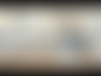 Lederen gennemgår arbejdsgangen for oversættelsesdokumenter