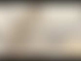 Der Übersetzungsmanager prüft die Einhaltung von Richtlinien und Dokumenten.