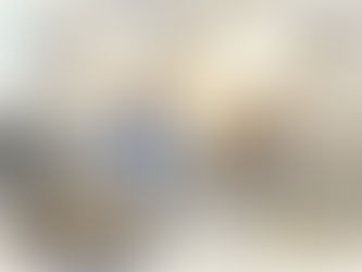 Vårt översättningsteam granskar och tolkar myndighetsdokument