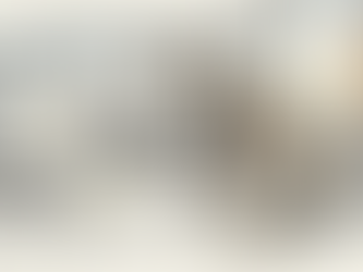 Ett affärsteam samarbetar kring ett översättningsprojekt